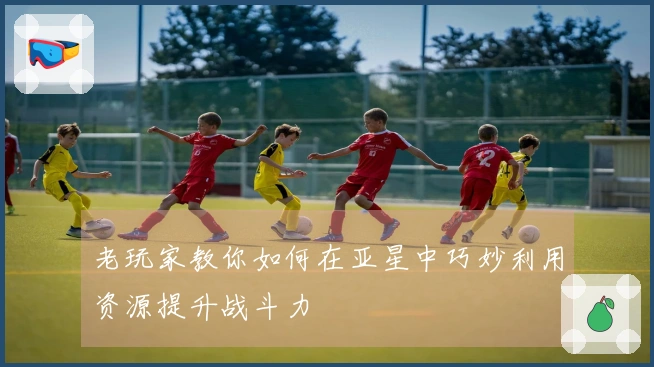 老玩家教你如何在亚星中巧妙利用资源提升战斗力